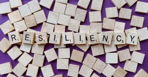 Resilience