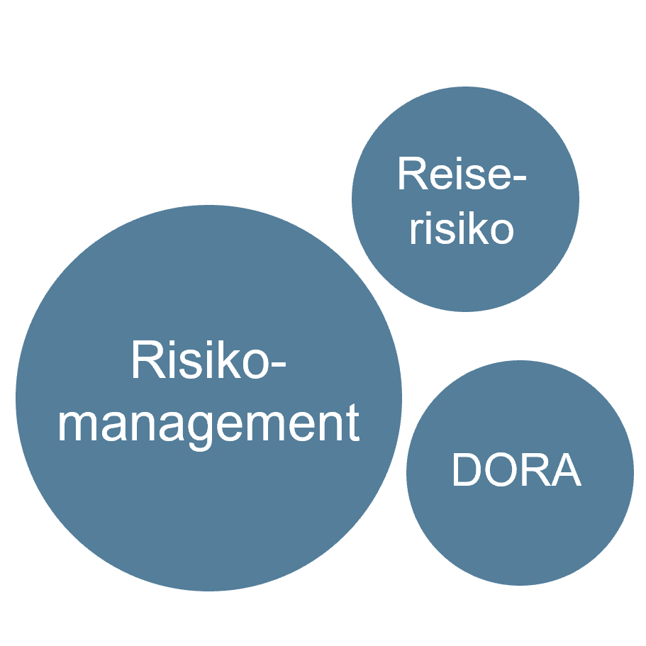Three blue circles of different sizes labeled "Risikomanagement," "Reiserisiko," and "DORA" in white text, with "Risikomanagement" being the largest circle.
