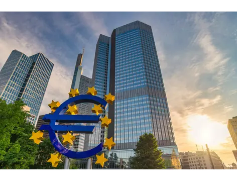 A large blue euro symbol with yellow stars stands in front of modern glass skyscrapers, representing Risk Management for Financial Institutions, as the sun sets behind trees and a partly cloudy sky in the city background.